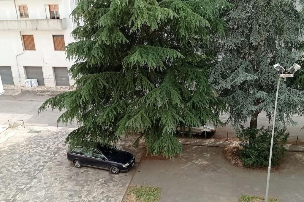 Appartamento Terrazza Bella Vista Cisternino Eksteriør billede